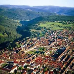 Palmenwald Schwarzwaldhof, Bw Signature Collection Hotel Freudenstadt